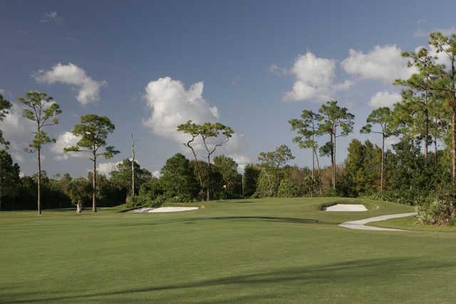Sandhill Crane Golf Course - photo 4