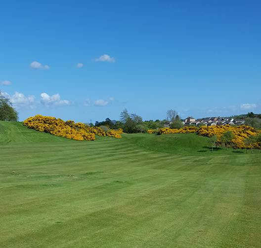 Auchterderran Golf Club - photo 4