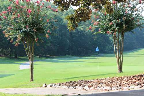 Griffin City Golf Course - photo 3