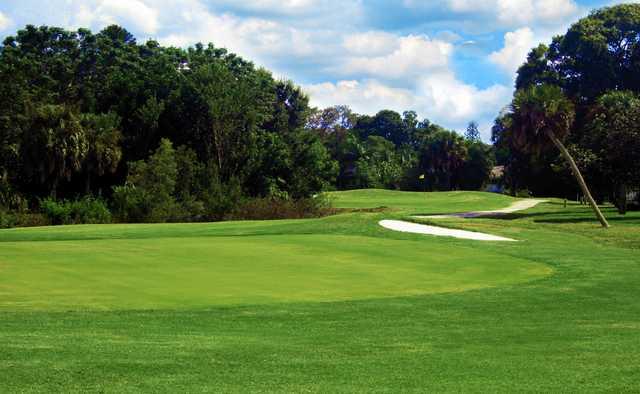 The Palms Golf Club at Forest Lakes - photo 4