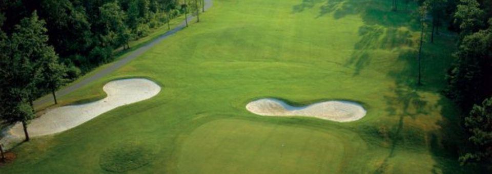Diamondback Golf Course - photo 4