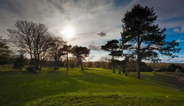 Lee Park Golf Club - photo 5