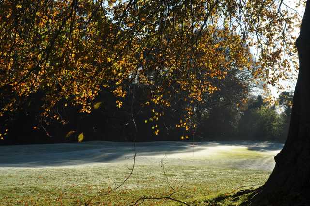 Roscrea Golf Club - photo 4