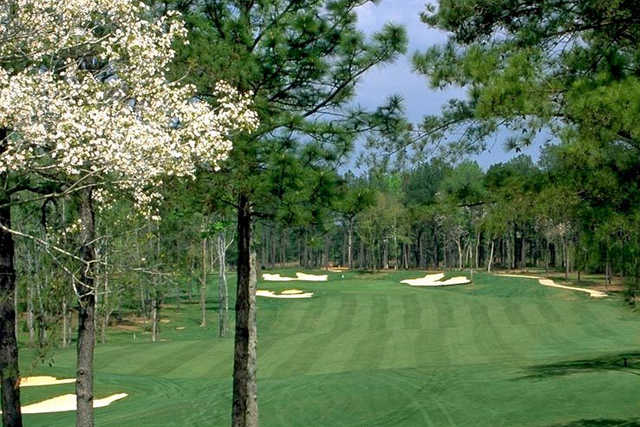Money Hill Golf Course & Country Club - photo 4