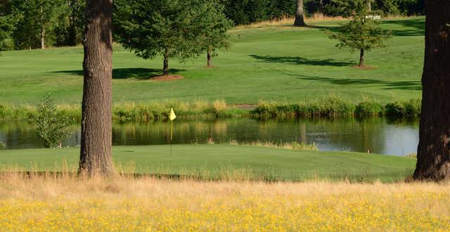 Stone Creek Golf Club - photo 3