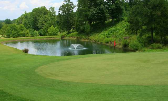 Palmetto Hills Golf Club - photo 2