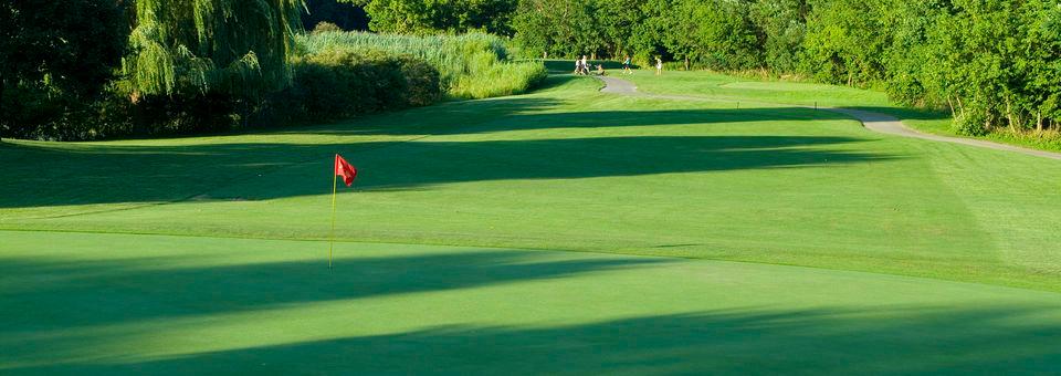 Dearborn Hills Golf Course - photo 5