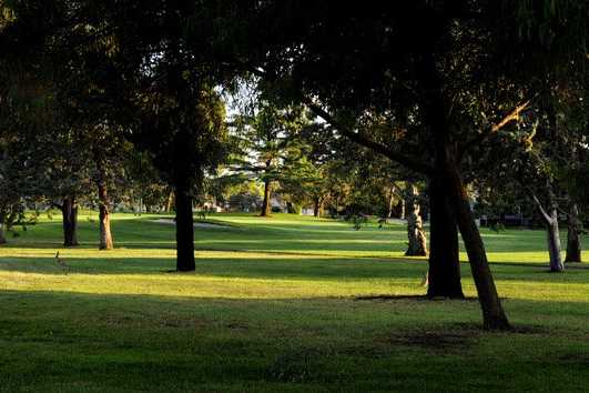 Green Tree Golf Club - photo 4