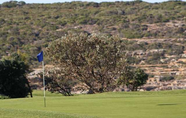 Randwick Golf Club - photo 6