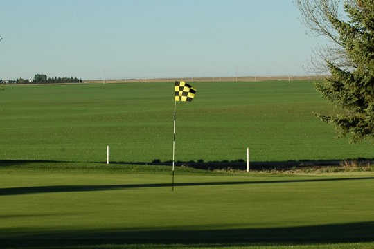 Bow Island Jubilee Golf Club - photo 4