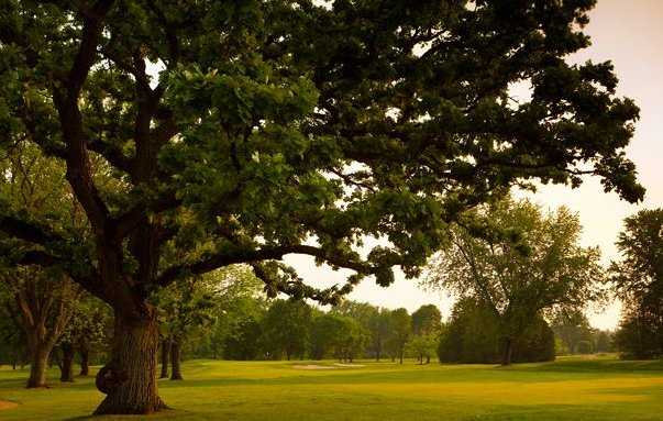 Nakoma Golf Club - photo 4