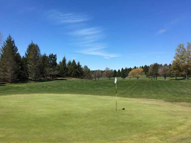 Griffin's Greens - photo 3