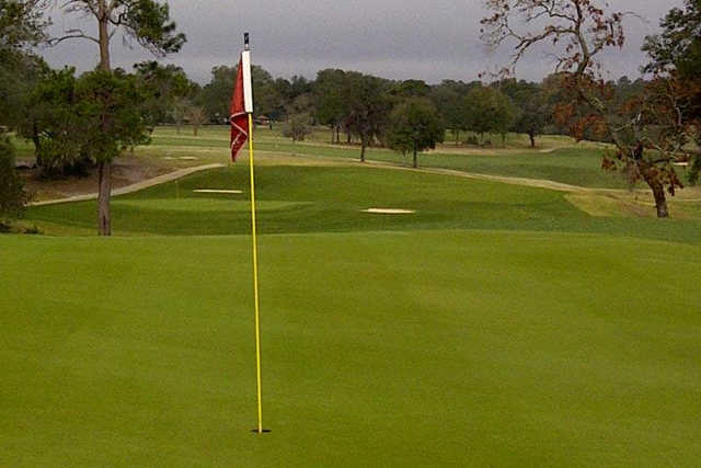 Eagle - photo 5