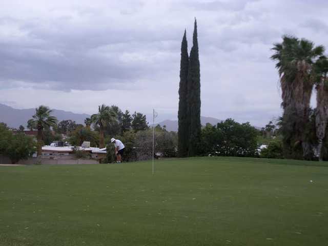 Rolling Hills - photo 3