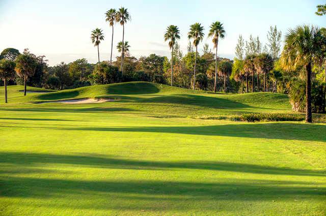 Okeeheelee Golf Course - photo 5