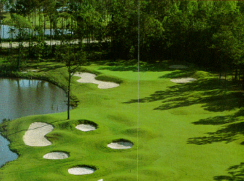 Sea Trail Golf Resort - The Rees Jones Golf Course - photo 5