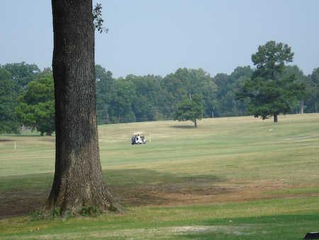 Pine Hill - photo 2