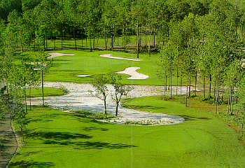 Sea Trail Golf Resort - The Willard Byrd Golf Course - photo 6