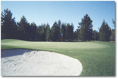 Quail Run Golf Course - photo 5