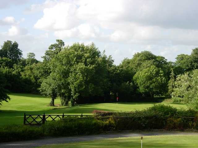 Stepaside Golf Club - photo 3