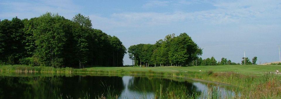 Royal Stouffville Executive - photo 6