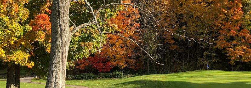 Village Green Golf Course - photo 7