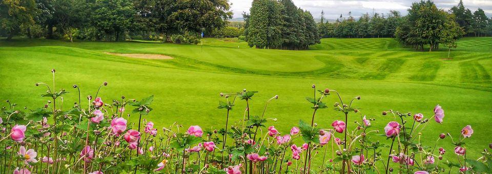 Naas Golf Club - photo 8