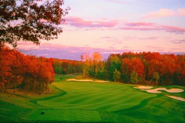 The International Golf Club and Resort - Oaks Course - photo 3
