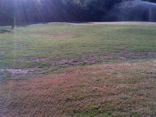 Huntington Park Golf Course - photo 4