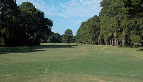 Mary Calder Golf Club - photo 2