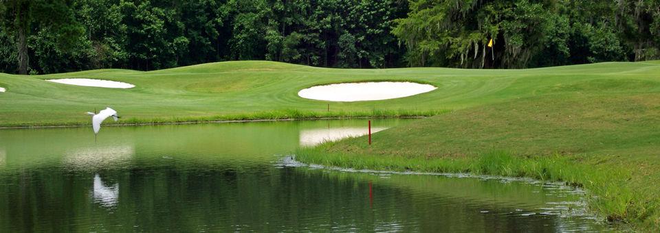 Crosswinds Golf Club (GA) - photo 6