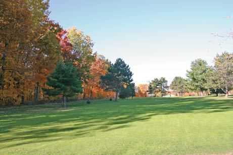 Lakeview Golf & Pizza - photo 3