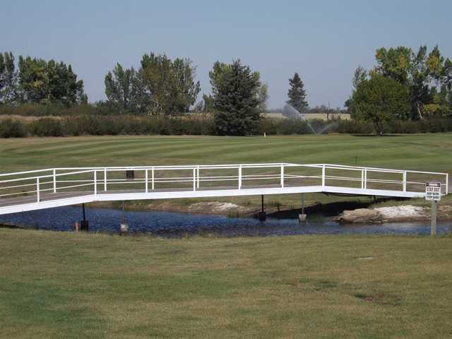 Acme Golf Club - photo 6