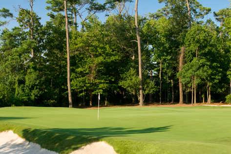 Princess Anne Country Club - photo 4