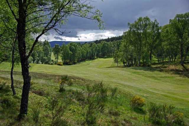 Boat of Garten Golf Club - photo 7