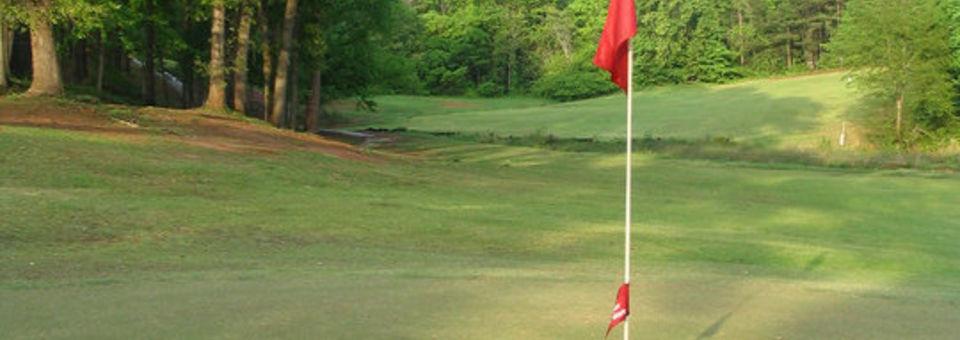 Birmingham Golf Club - photo 3