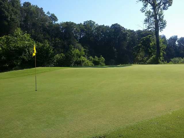 Island Pointe Golf Club (FKA River Islands) - photo 2