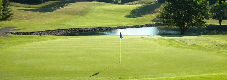 Chippewa Golf Club - Canton - photo 5