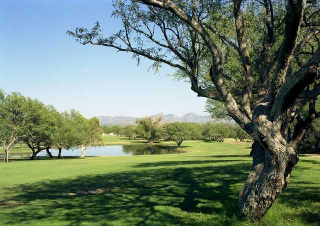Rio Rico - photo 2