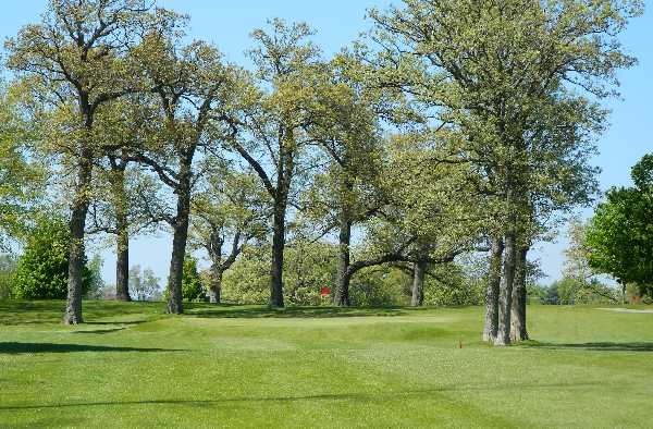Oak Springs Golf Course
