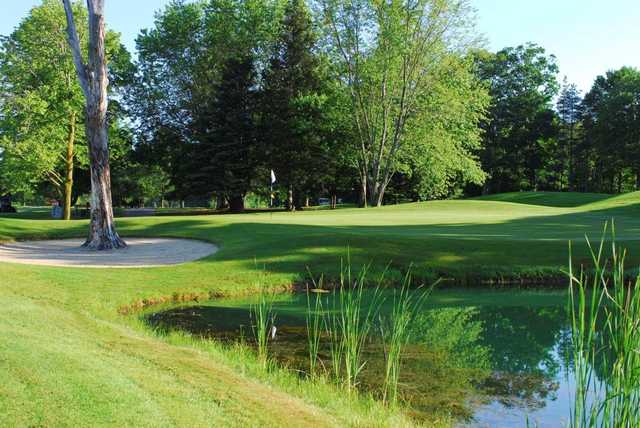 Century Pines Golf Club - photo 4