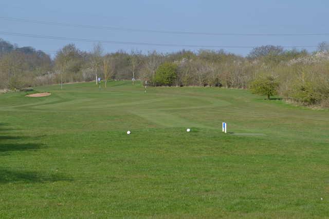 Henley Golf & Country Club - Par 3 Course - photo 3