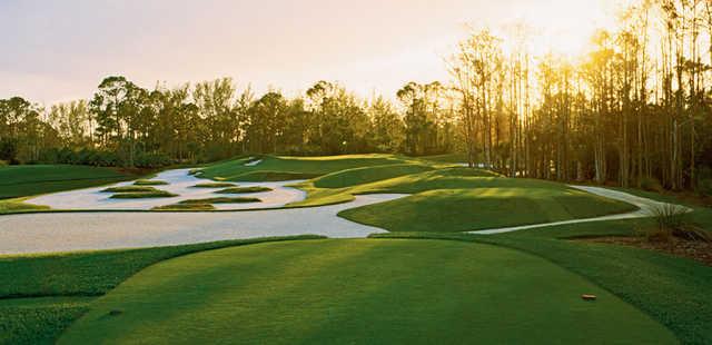The Dye Preserve - photo 3