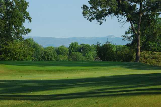 Mimosa Hills Golf Club - photo 4