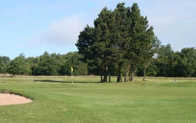 Bolton Old Links Golf Club - photo 6