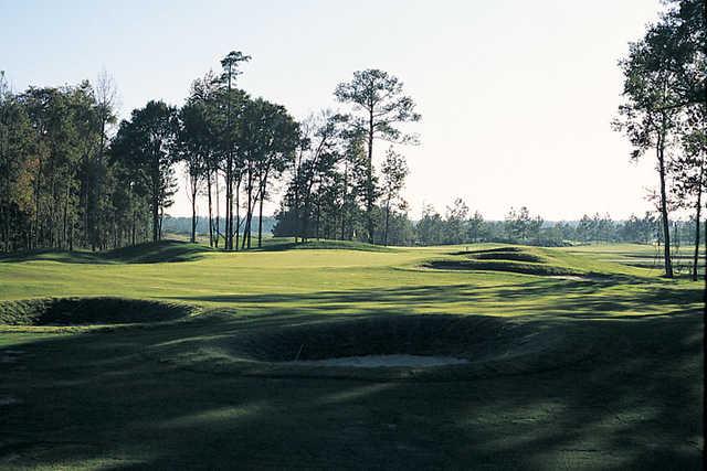 Wicked Stick Golf Links - photo 2
