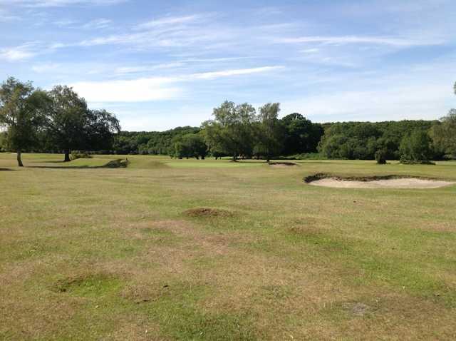 New Forest Golf Club - photo 4