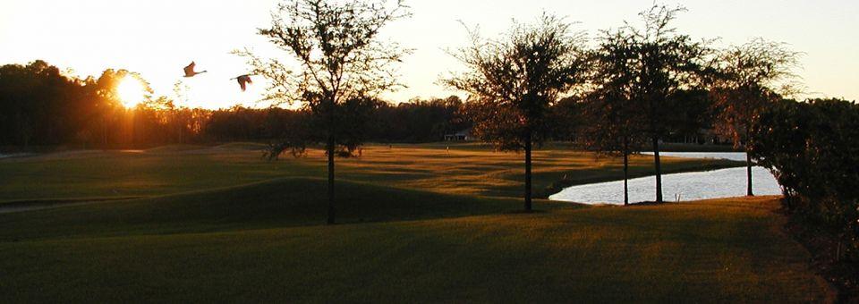 Tampa Bay - 9 Hole - Par 3 Short Course - photo 4
