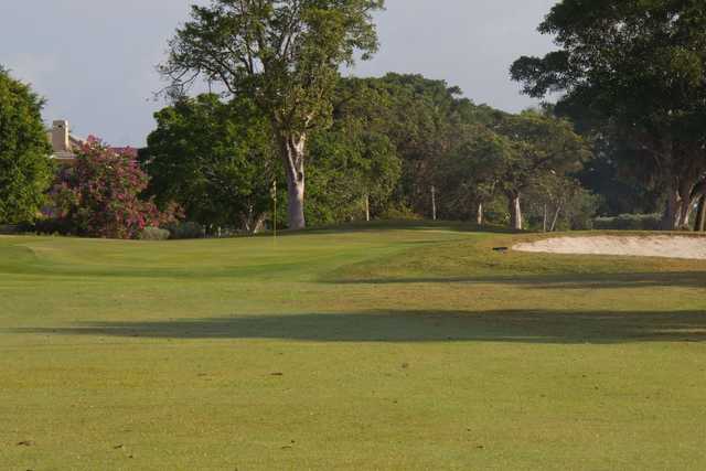 Sanibel Island Golf Club - photo 2