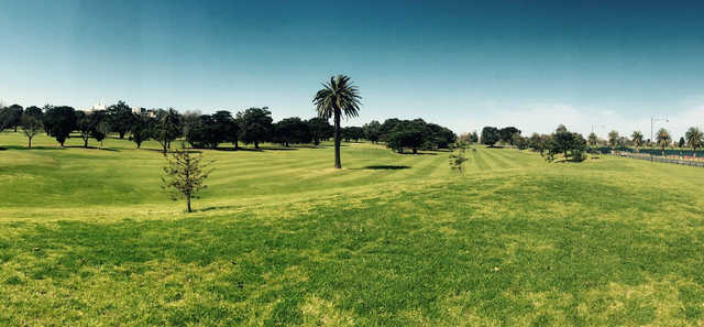 Albert Park Golf Course - photo 3